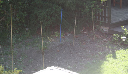 Bamboo canes marking out site